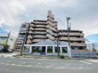 ロイヤル高針