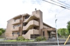 シティコーポ島田緑地