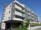 シティライフ大林公園