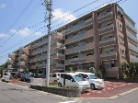 カルティア赤池