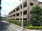 八雲シティハウス