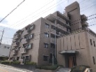 ソフィア一社