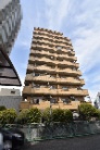 レインボー徳川