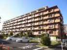 シティコーポ鳩岡