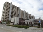 アリーナシティ