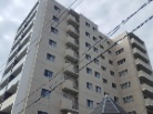 バンベール石川橋