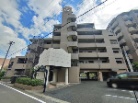 ソシアルセイワ三河安城