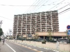 スペクトル大府