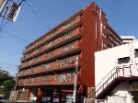 シャンボール国泰寺