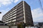 アルファステイツ祇園