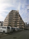 シティマンション桑田
