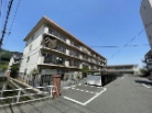 シャトレハイツ津島