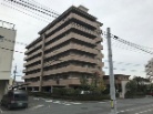 アルファステイツ野田