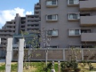 アーバングランディア庚午