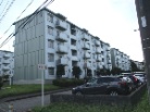 東新井団地