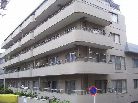 ドミール東山
