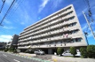 グリーンパーク花畑6