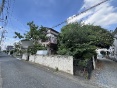 s厚yn