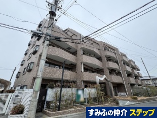 ���C�I���Y�}���V�����Y�a�c�R��