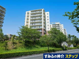 ��t��p�[�N�q���Y�f��