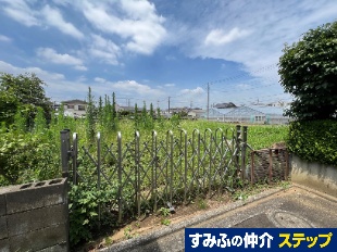 擌Tړyn