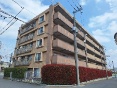 TNCh