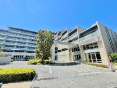 VeBeX`