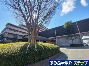 RXEUEp[NX̐X