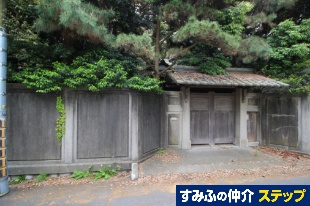 S钬yn