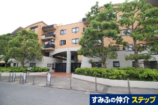 NZÓ약