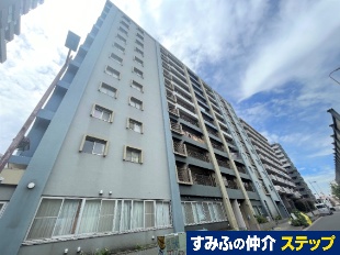 Zr