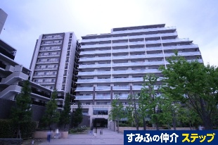 O[VA苞