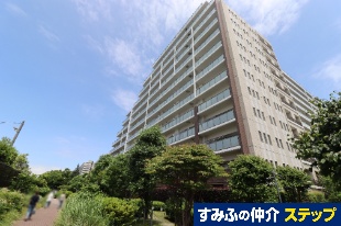 O[VA苞