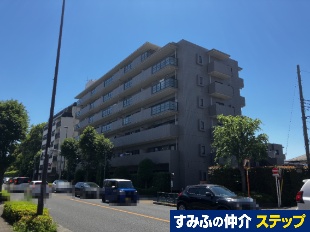 ���C�c���������