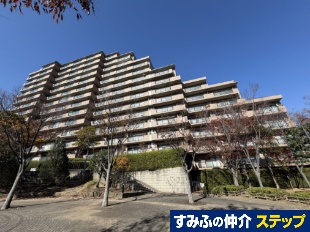 `kj[^Ep[NTChnCcSԊف@