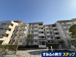 ���]���ӂ��̂���P�T����