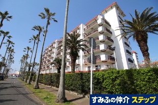 ���q�}���[�i�����p�����T����