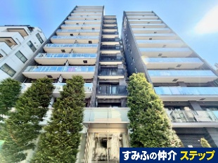 �V�e�B�n�E�X����