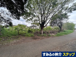 ˎsʖxyn
