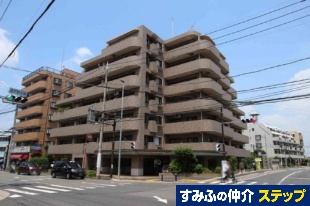 ���C�I���Y�}���V�����o�ˉw�O