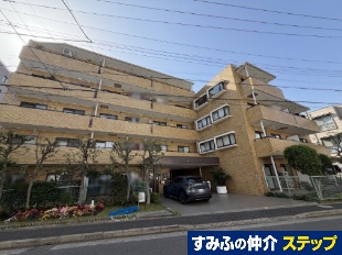 ���C�I���Y�}���V��������