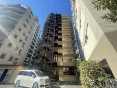 TnCc