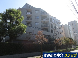 ANXg슋