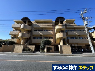 ���C�I���Y�}���V������̑�