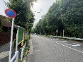 ڍ擌RPړyn