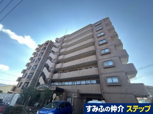 ���C�I���Y�}���V������ъԑ�T