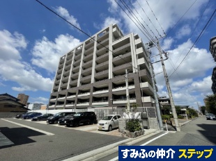 �V�[�Y�K�[�f����a