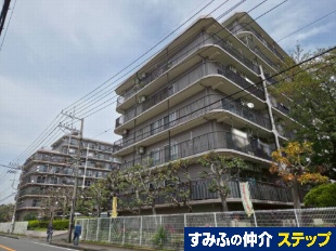 �����ݖ�T���n�C�c