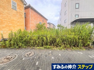 擇Qړyn