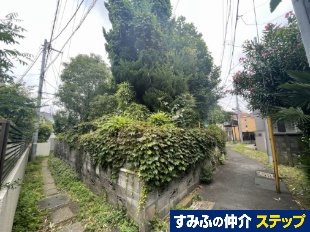 ls_ސ戮uyniؒnj